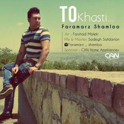 دانلود آهنگ جدید فرامرز شاملو بنام تو خواستی