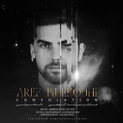 Aref Pilekouhi Delkhoshi