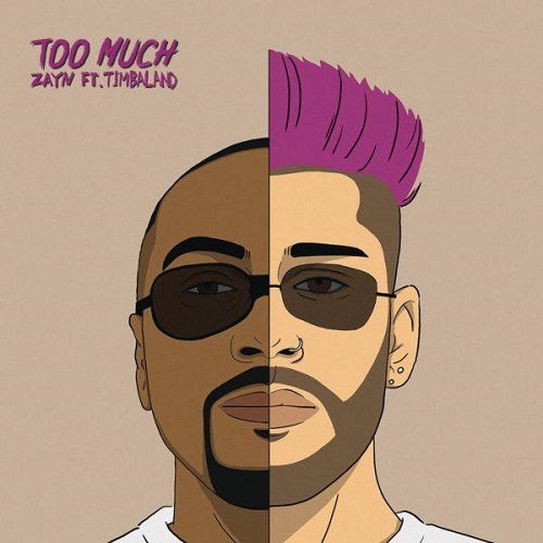 دانلود آهنگ جدید Zayn و Timbaland بنام Too Much