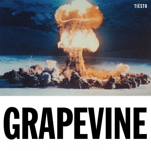 دانلود آهنگ جدید Tiesto بنام Grapevine