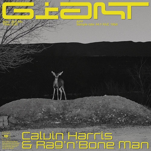 دانلود آهنگ جدید Calvin Harris و RagnBone Man بنام Giant